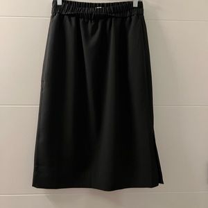 Jcrew skirt